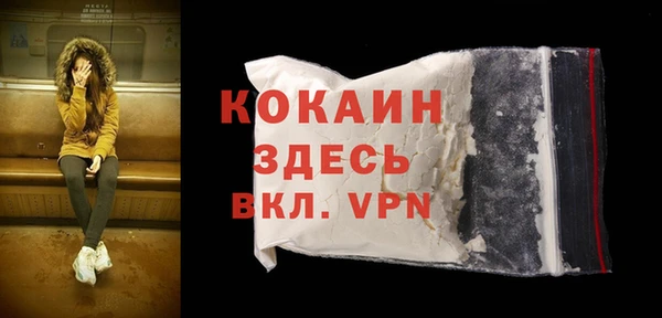 ПСИЛОЦИБИНОВЫЕ ГРИБЫ Богданович