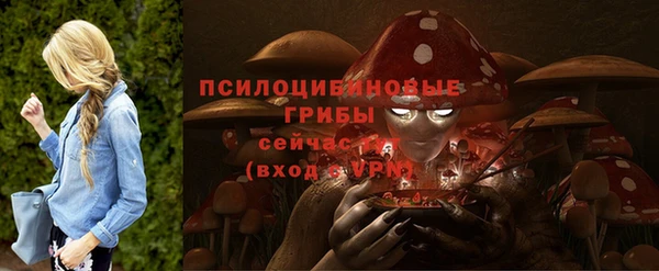 крисы Беломорск