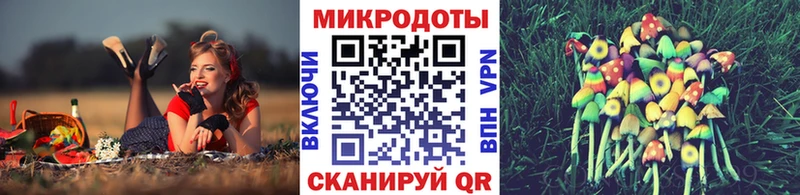 Галлюциногенные грибы Psilocybine cubensis Мелеуз
